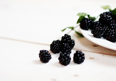 blackberries photo